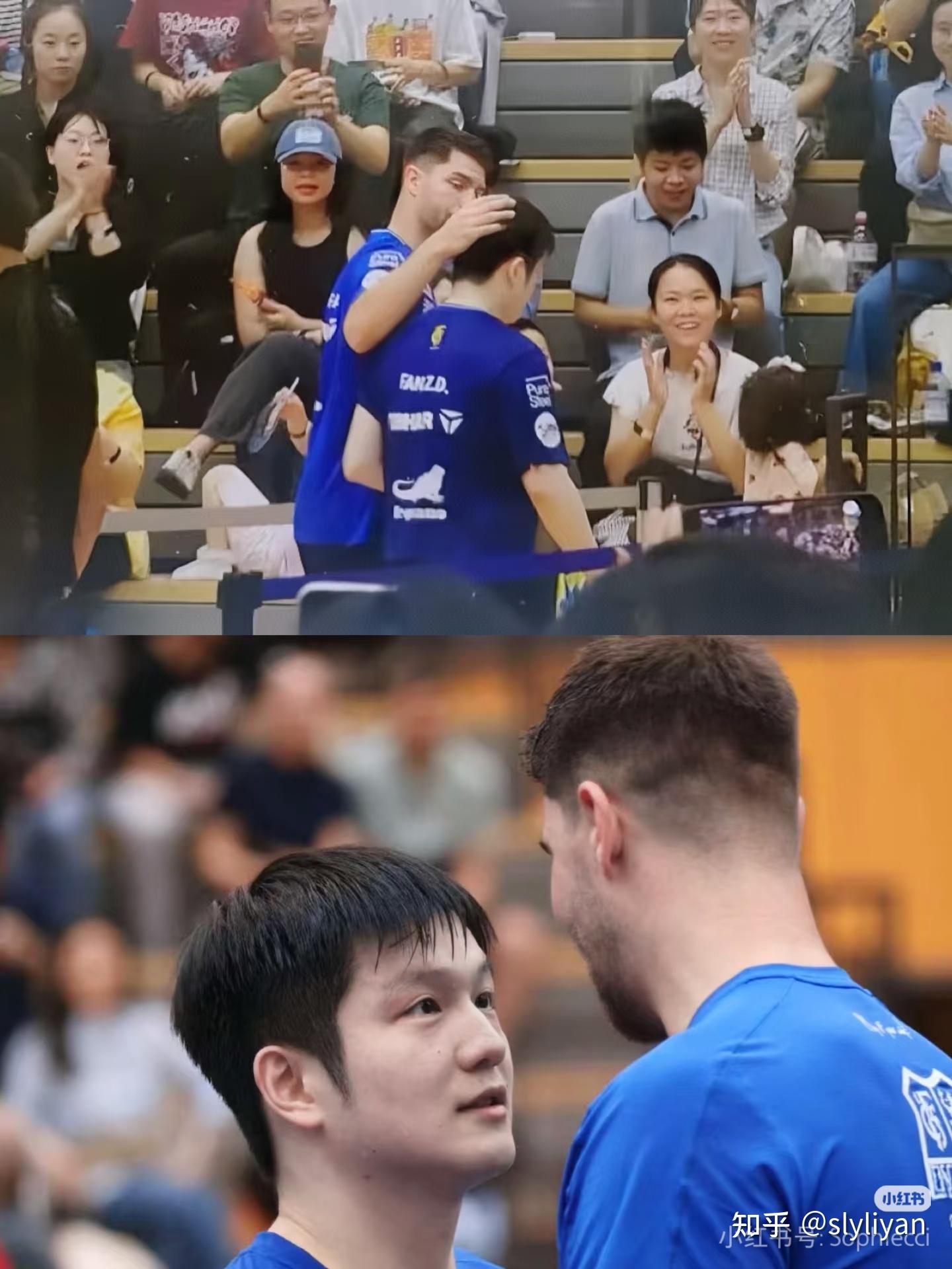  樊振东状态火爆，分区决赛季后赛对阵明尼苏达森林狼，拜仁慕尼黑力争连败